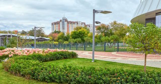 Профессиональное озеленение улиц в Донецке в октябре
