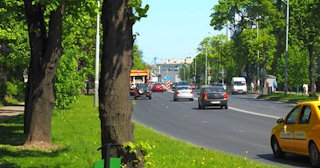 Посадка деревьев и кустарников в Донецке — стоимость от 1314 руб.